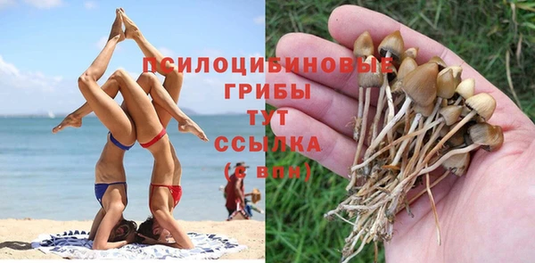COCAINE Белокуриха